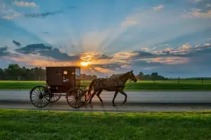 Amish Buggy and Sunbeams at Daybreak Amish buggy against a sunset backdrop