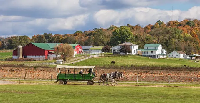 HershbergerFarm