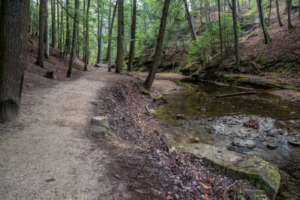 Mohican Trail
