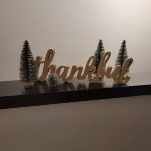 Thankful Thankful for the great guests!