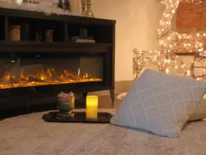 2025 Winter / seasonal decor