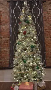 2025 Winter / seasonal decor