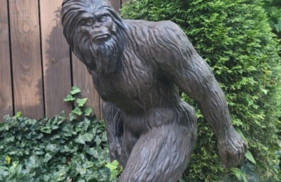 backyard bigfoot airbnb