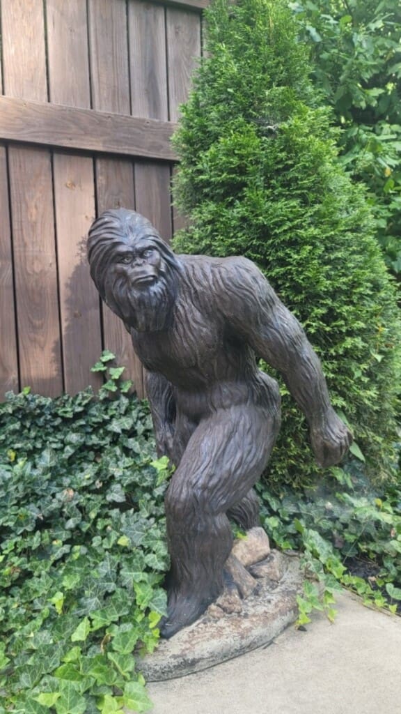 backyard bigfoot airbnb