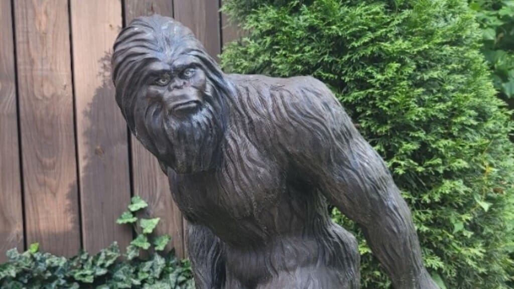 backyard bigfoot airbnb 16.9