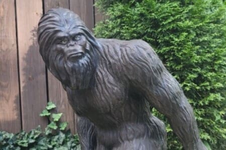 backyard bigfoot airbnb 16.9