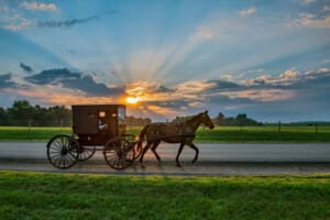 Amish buggy against a sunset backdrop