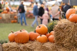 Pumpkins on hay bales at festival