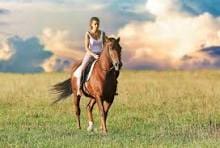 horse back riding