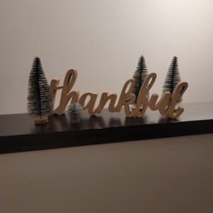 Thankful for the great guests!