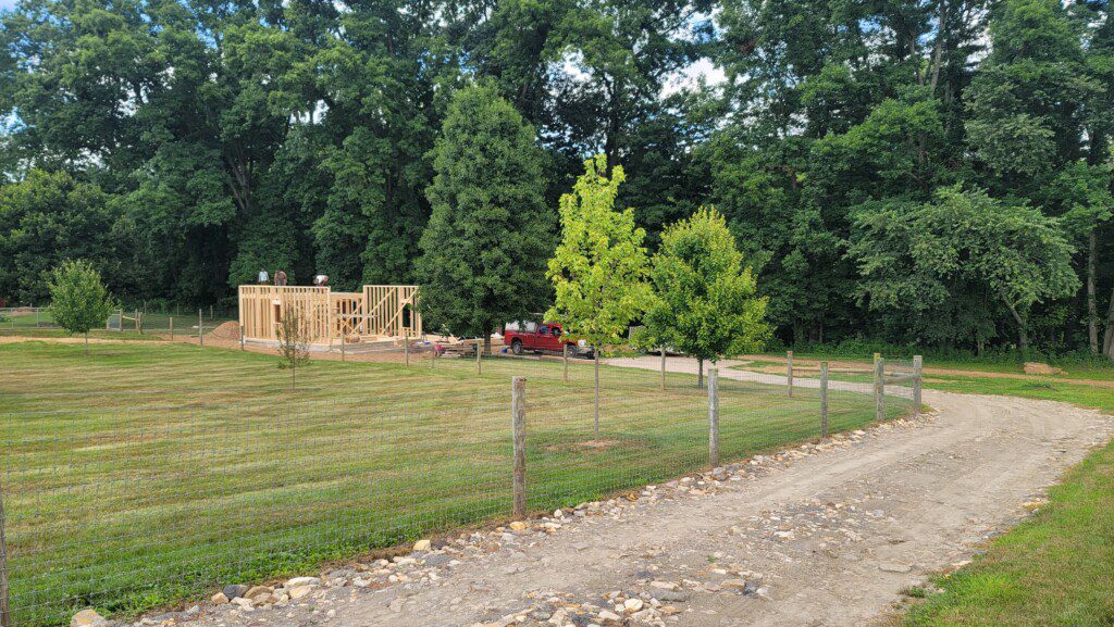 Psithurism House framing set against the mature tree grove that gave the property its name