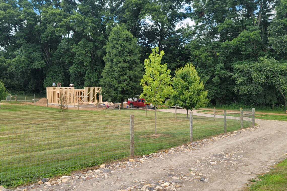 Psithurism House framing set against the mature tree grove that gave the property its name