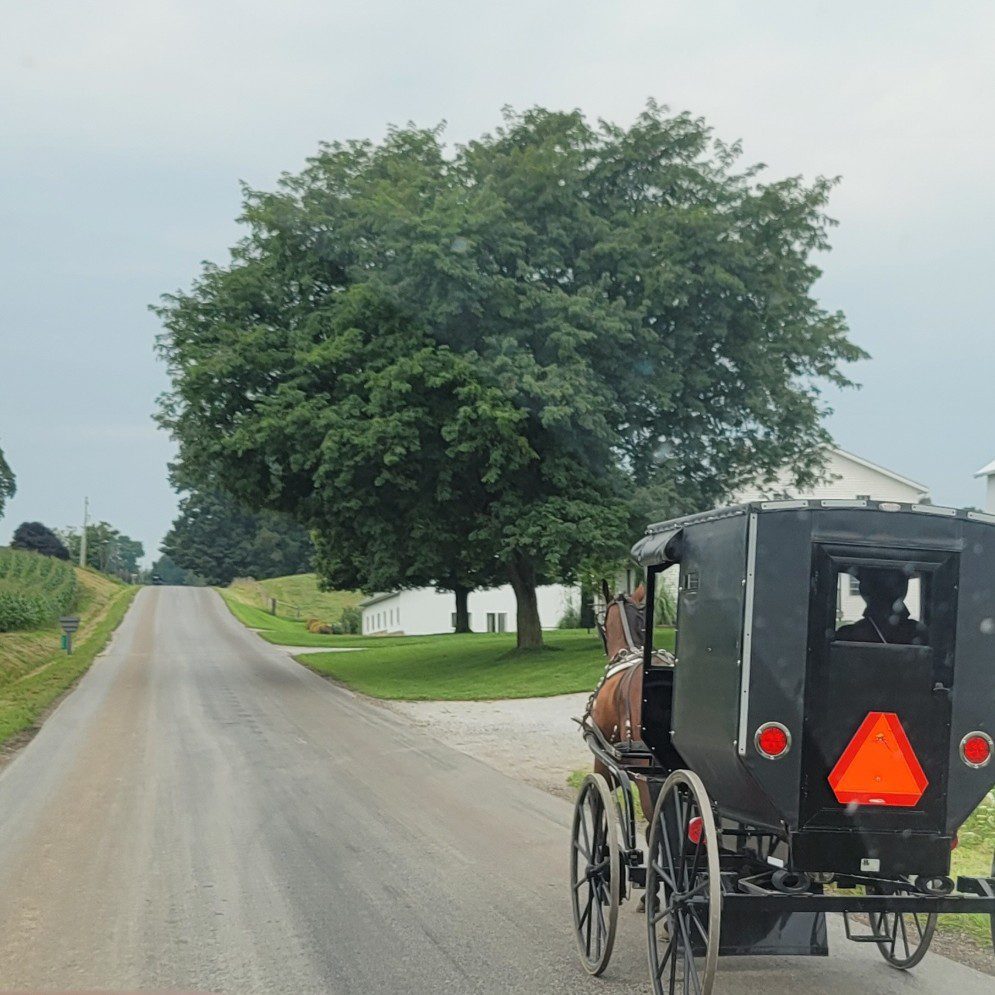 Horse-drawn Amish buggy on a quiet backroad in Holmes County, Ohio