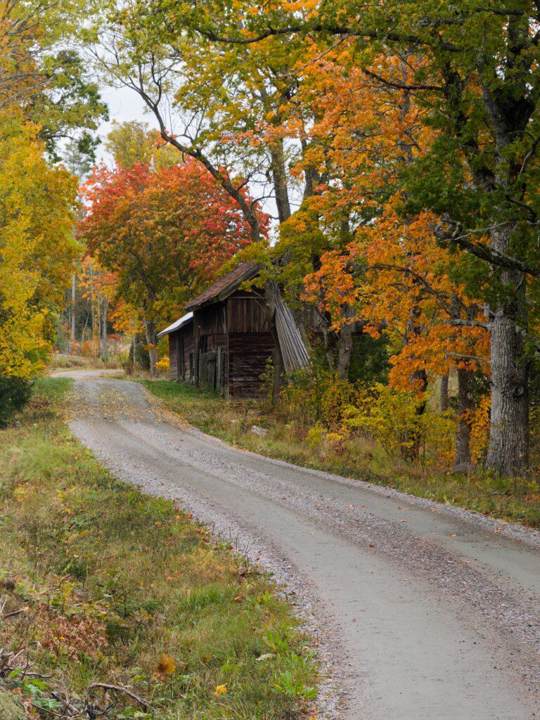 Weathered wooden barn along a winding gravel country road framed by fall foliage in Ohio's Amish Country