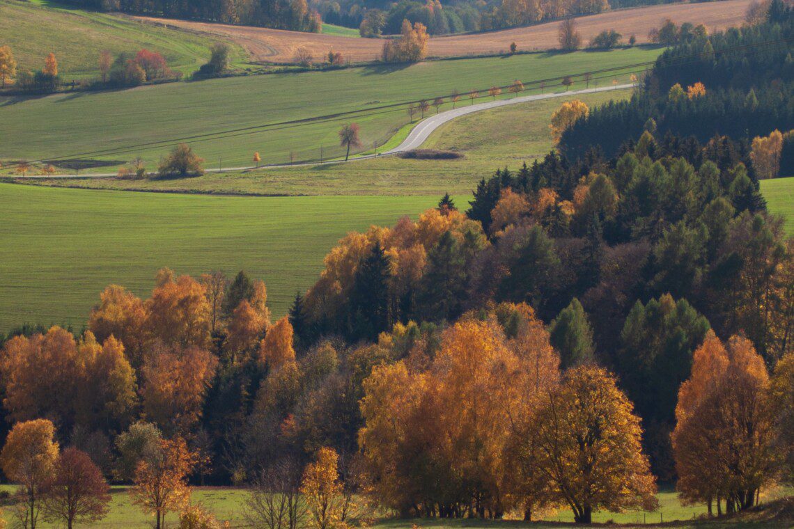 Rolling Holmes County hills in autumn color with a winding country road and cattle grazing in Ohio's Amish Country