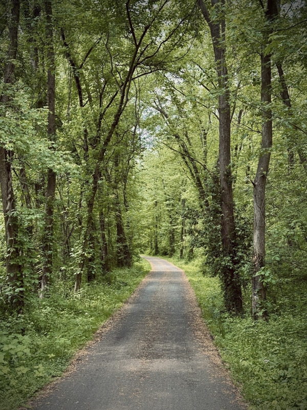 A cyclist and an Amish buggy sharing the Holmes County Trail in Ohio's Amish Country