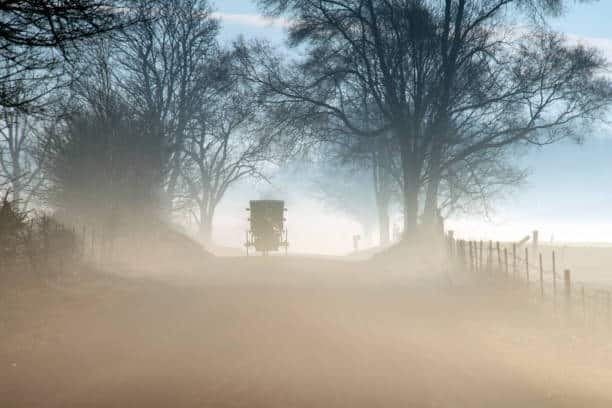 A horse-drawn Amish buggy vanishing into thick fog on a Holmes County back road